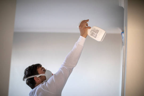 Best Mold Remediation Experts  in Oak Island, NC