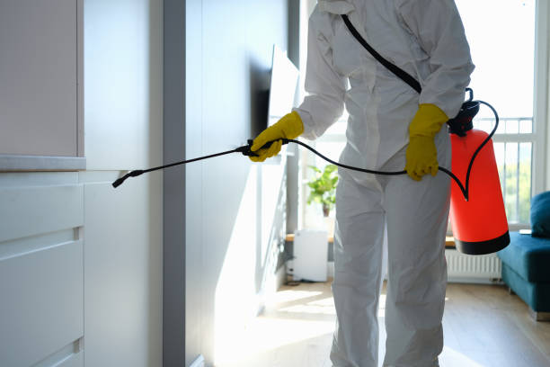 Best Mold Cleaning Services  in Oak Island, NC