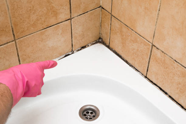 Best Affordable Mold Removal  in Oak Island, NC